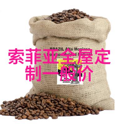 飞利浦吸尘湿拖一体机开启你和地板亲密接触的无限可能
